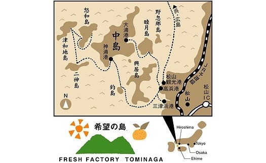 【2026年2月中旬から発送予定】 希望の島 欲張りセット 柑橘 定期便 3回（2月・3月・4月お届け）果物 フルーツ 柑橘 みかん ミカン 愛媛 旬 【希望の島】