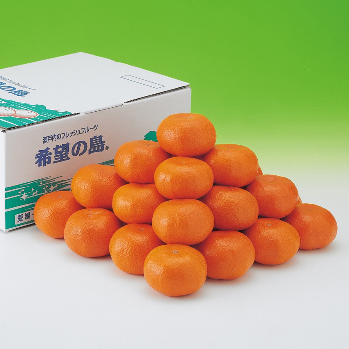 【11月下旬頃から発送予定】温州みかん 3kg 愛媛 中島産 希望の島 家庭用 みかん 柑橘 3kg ?8,000