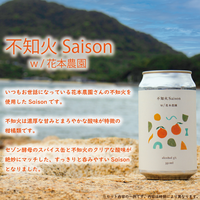 おまかせ興居島うまれのクラフトビール12本セット 愛媛県 松山市 興居島 クラフトビール