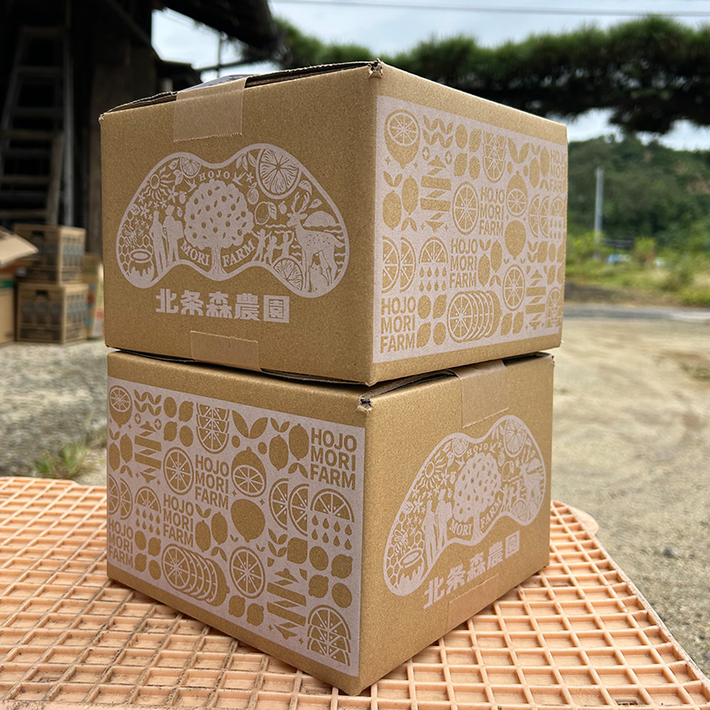 【先行予約 2026年1月上旬から発送予定】数量限定 もりのしずくレモン イエローレモン 3kg 国産 レモン 国産イエローレモン3kg