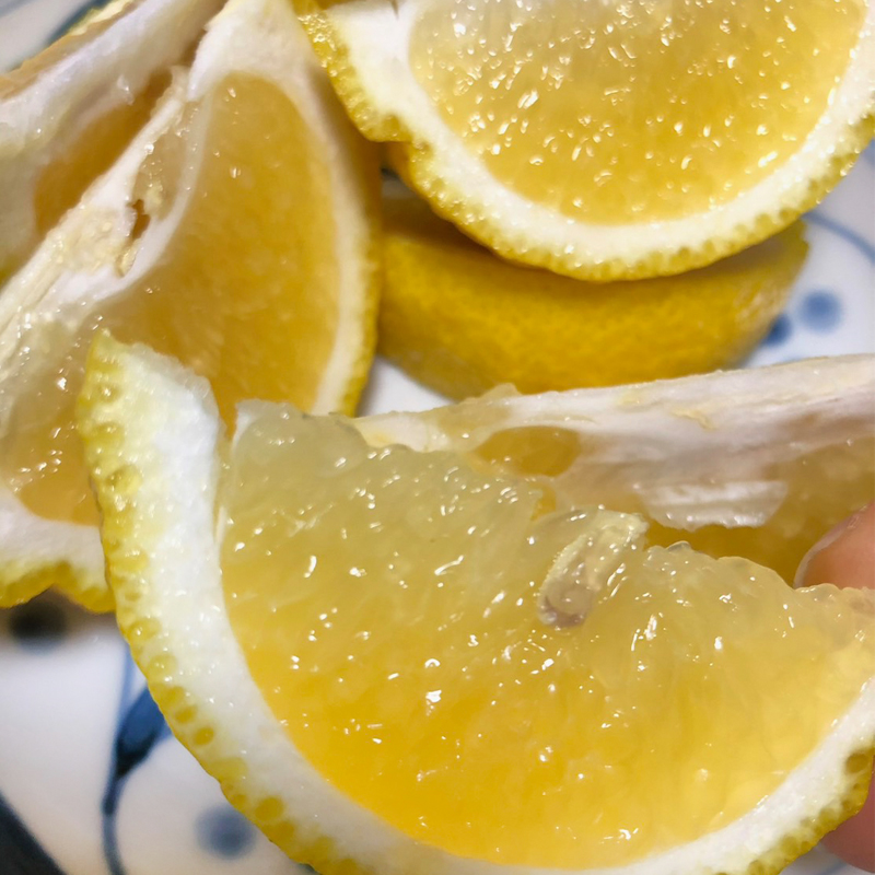 【2月初旬頃発送予定】春を呼ぶ はるか 家庭用 4kg | みかん 4kg みかん 愛媛 みかん 松山 みかん 農家直送 家庭用 柑橘 愛媛 松山 北条 果物 フルーツ 産地直送 みかん 農園直送