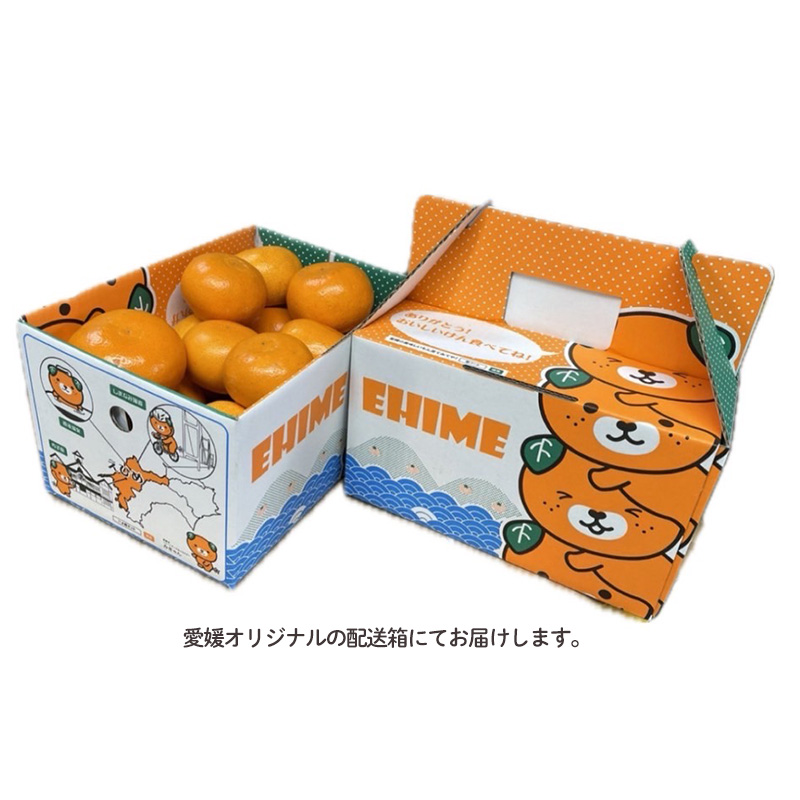 【先行予約】せとか 訳あり 約3kg