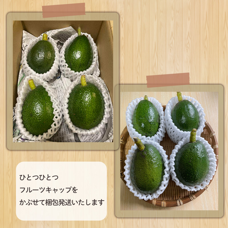 【先行予約】アボカド 国産 家庭用 除草剤 不使用 約 900g