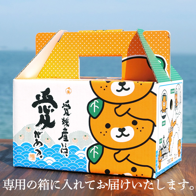 ★★★150箱限定★★★【11月下旬から発送】【紅まどんな】◯等級 Lから2L 約1.5kg