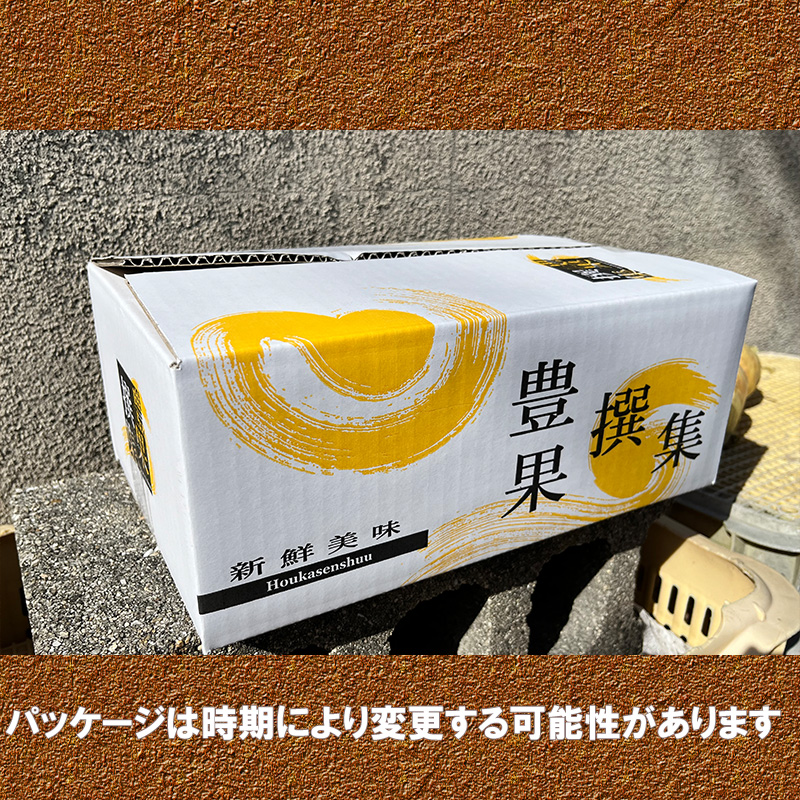 玉ねぎ 約 3kg 約3kg