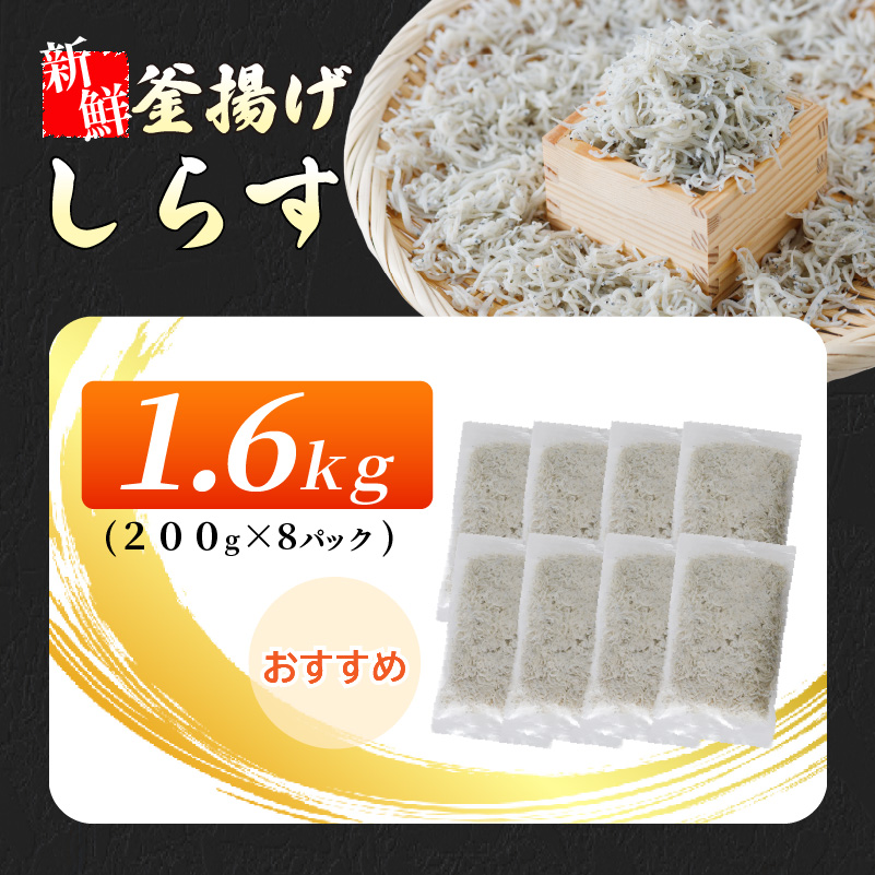 たっぷり 大容量 愛媛県産 贅沢 旬 しらす 200g×8 魚 魚介 魚介類 しらす ちりめん おにぎり パスタ ピザ 丼 愛媛県松山市 愛媛県 松山市 愛媛 松山 冷凍 1.6kg(200g×8)