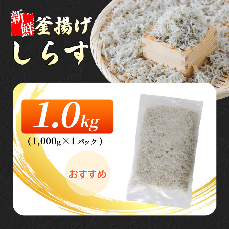 たっぷり 大容量 愛媛県産 贅沢 旬 しらす 1kg 魚 魚介 魚介類 しらす ちりめん おにぎり パスタ ピザ 丼 愛媛県松山市 愛媛県 松山市 愛媛 松山 冷凍 1.0kg(1,000g×1)