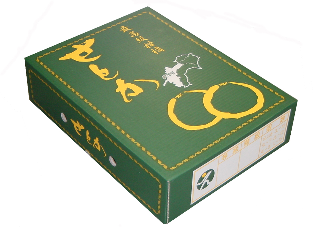 【2月上旬から発送】愛媛県産　せとか10~15玉　約2.7kg