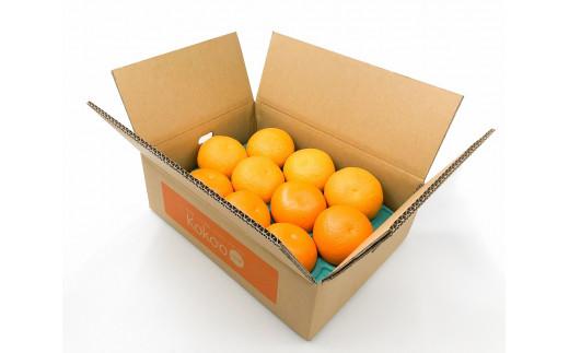 【2026年3月上旬から発送予定】甘夏　家庭用(優品)　10玉