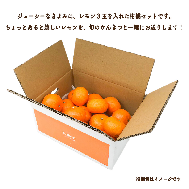 【先行予約】 きよみ  家庭用(優品) 約2.5kg ＆ 瀬戸内海の島レモン3玉 | みかん オレンジ ミカン mikan 柑橘 かんきつ レモン 檸檬 れもん フルーツ 【2026年3月中旬頃から発送予定】新鮮 柑橘 ふるーつ 果物 くだもの 農家直送 産地直送 期間限定 愛媛県 松山市 ココオ Koko'o