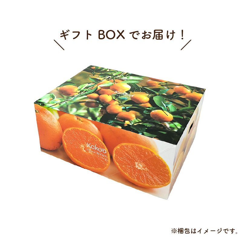【先行予約】 瀬戸内海の島みかん (秀品・ギフトBOX入)【石地みかん】約3kg | 柑橘 みかん 密柑 オレンジ フルーツ 果物 愛媛県 松山市 ココオ Koko'o  秀品･ギフトBOX入 / 約3kg