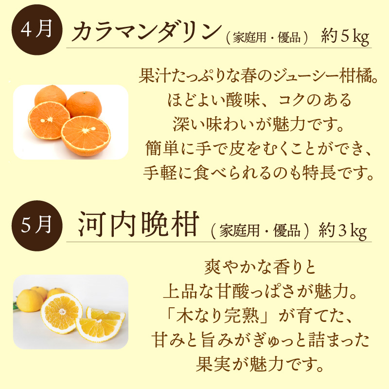 【紅まどんな 入り！】愛媛みかんおたのしみ定期便 【全6回】 | 紅マドンナ 温州みかん 石地みかん せとか いよかん 完熟島いよかん カラマンダリン 河内晩柑 まどんな 柑橘 みかん 蜜柑 mikan 檸檬 オレンジ おれんじ かんきつ  愛媛県 松山市 ココオ Koko'o