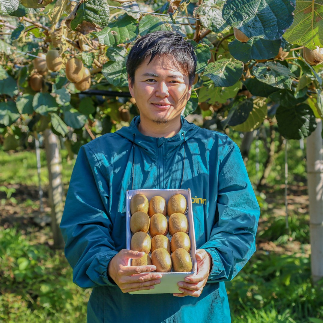 家庭用 キウイフルーツ ヘイワード 約1.5kg 愛媛県産 【1月上旬~2月下旬発送】| 先行予約 キウイフルーツ ヘイワード 農園直送 家庭用 フルーツ キウイ 果物 グリーンキウイ 愛媛県 松山市 おすすめ 人気