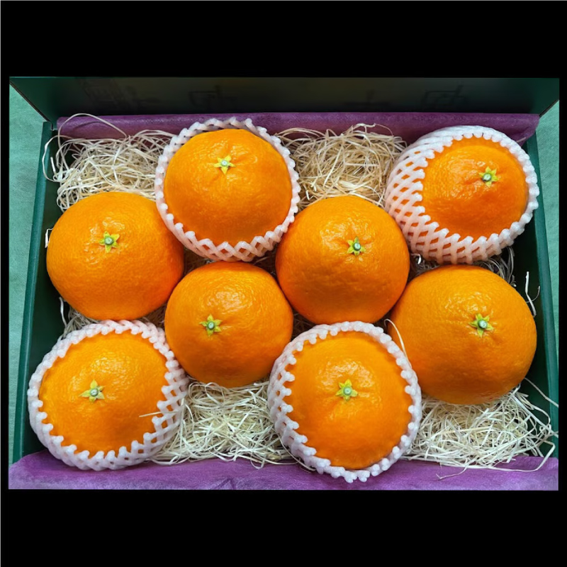 贈答用 愛果28号 (紅まどんな と同品種) 2kg 中玉7-8玉入り 【2025年11月下旬ごろ発送予定】 2kg/中玉7-8玉入り