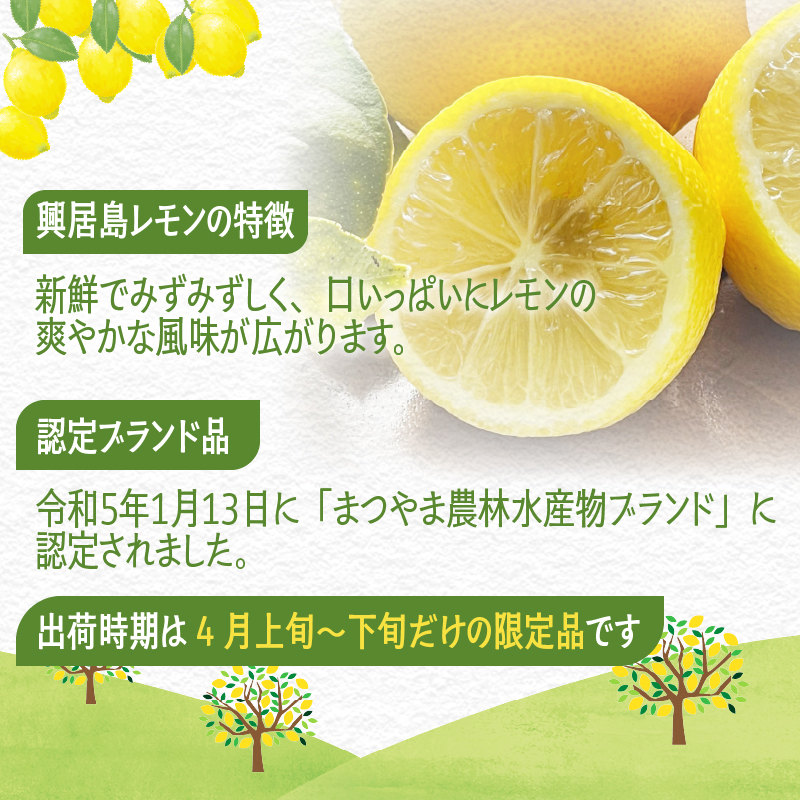 興居島レモン 10kg  【2026年4月上旬より発送】 | 国産 愛媛 れもん レモン lemon 青果 フルーツ 果物 くだもの 期間限定 数量限定 人気 おすすめ 愛媛県 松山市 ブランド 興居島 送料無料