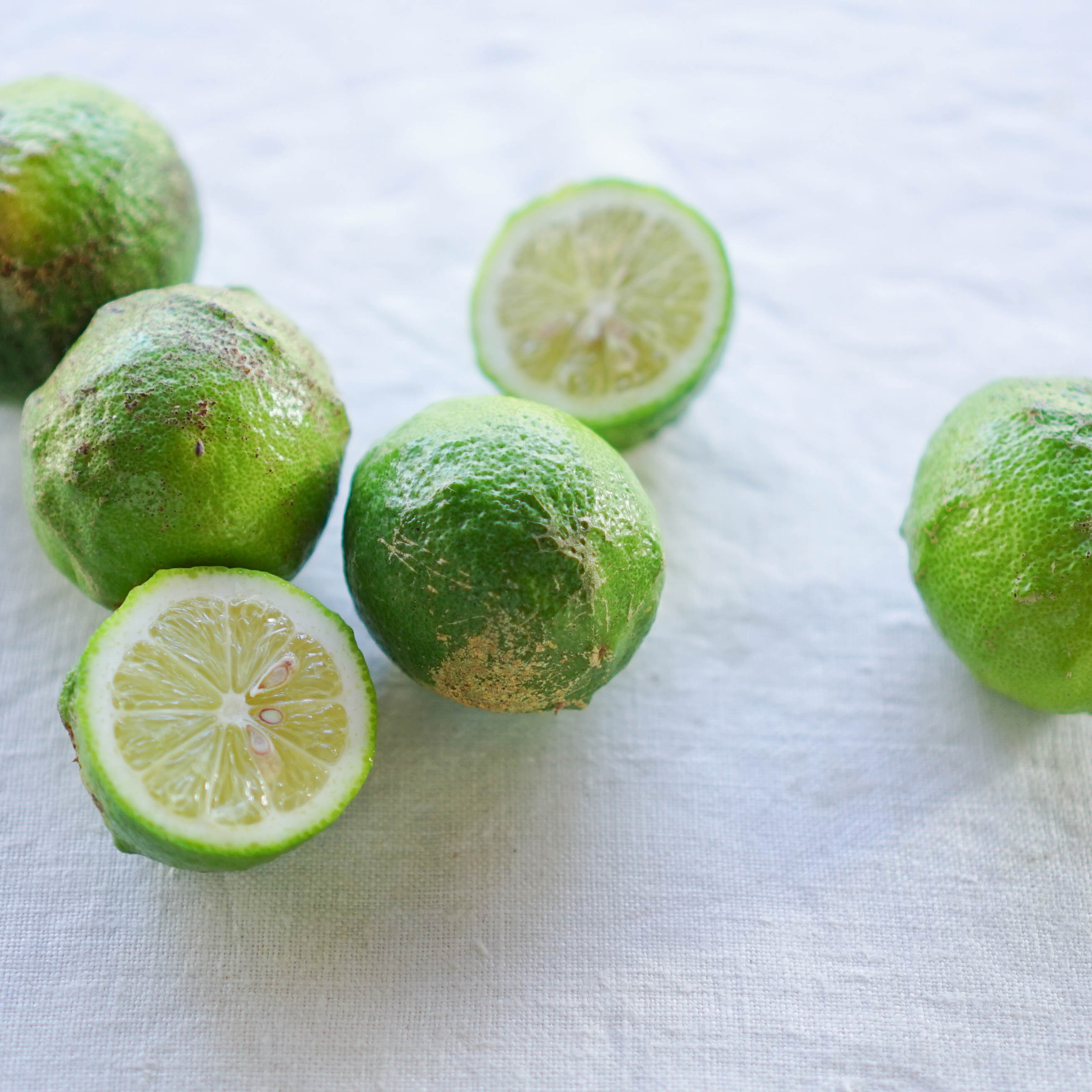 【2025年11月から発送】 レモン 2kg ( 14- 18玉 ) 檸檬 数量限定 愛媛県産 松山市 中島 2kg