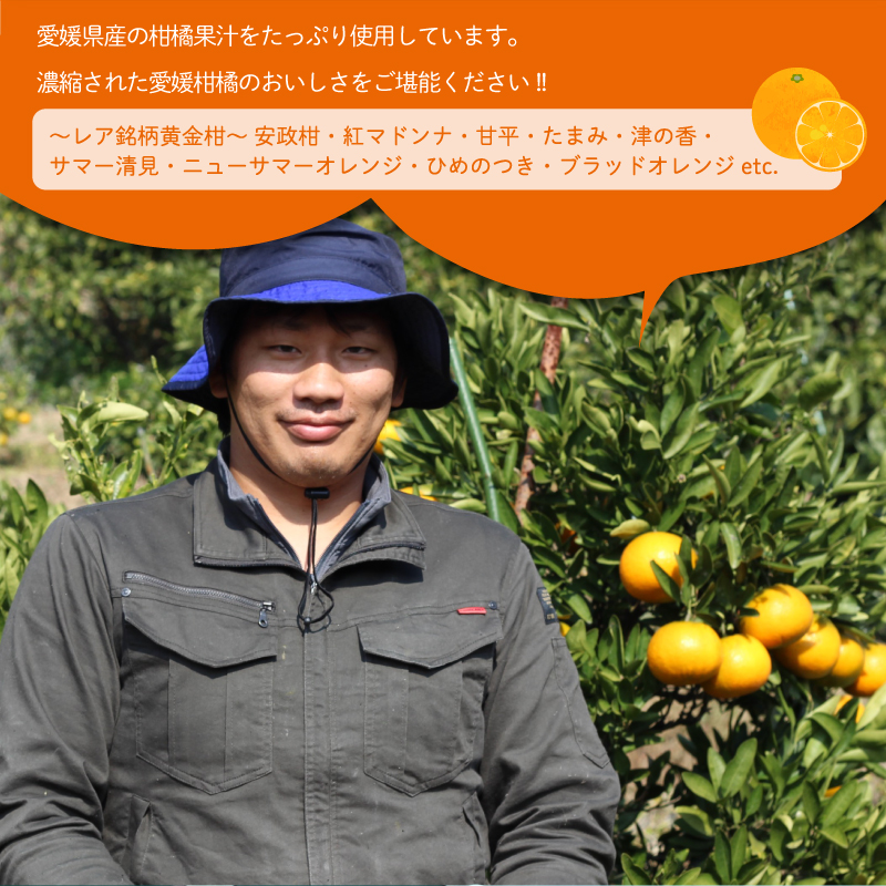 ちゅうちゅうゼリー 定期便 5個×3回 果汁ゼリー 柑橘 ゼリー みかん 果物ゼリー スイーツ 愛媛県 松山市 定期便3回×5本 ¥23,000