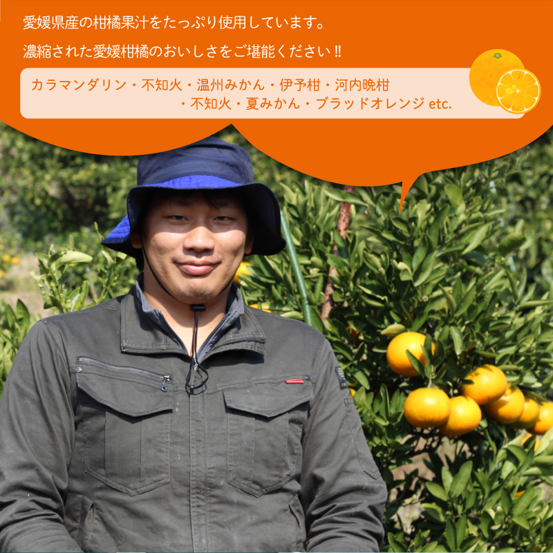 えひめ 柑橘 シャリー 12個 果汁 シャーベット ゼリー 柑橘 ゼリー みかん 果物ゼリー スイーツ 愛媛県 松山市