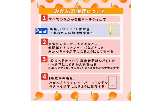 【甘平】約2.8ｋｇ（ご家庭用）＜2月頃発送 ＞ みかん ブランド 柑橘 フルーツ 果物 愛媛 松山