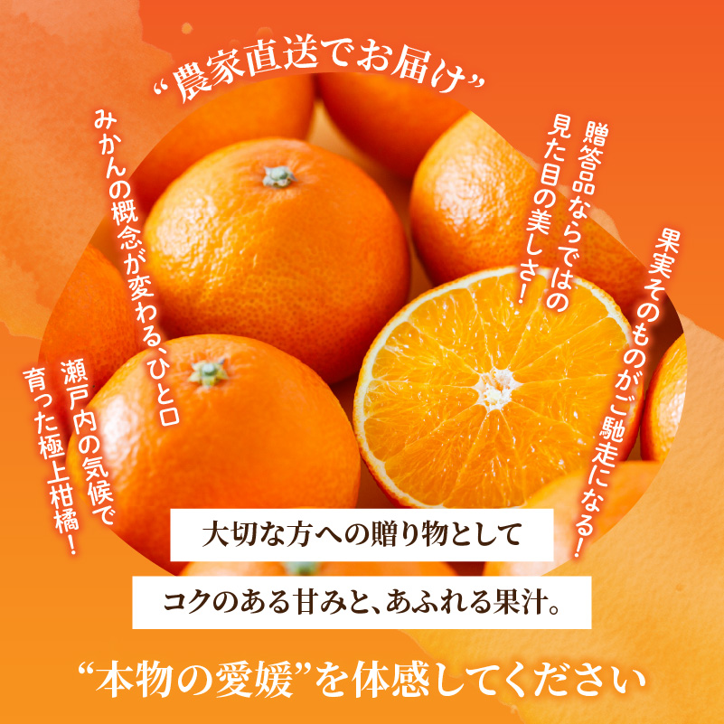 愛果28号 (紅まどんな と同品種) ギフトボックス Lから2Lサイズ 5玉 贈答用 A品 秀品【2025年11月中旬から発送】 | あいか 紅まどんな 紅マドンナ と 同品種 愛媛みかん みかん ミカン mikan お取り寄せ 産地直送 数量限定 人気 おすすめ 愛媛県 松山市 蓮果園