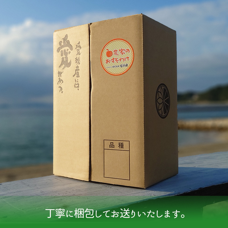 【2026年4月中旬から発送】南津海・カラマンダリン約2.5kg 大中小サイズ混合 家庭用B品合 | 柑橘 松山市産ミカン みかん 果物 くだもの ミカン 蜜柑 フルーツ おすすめ 高級 人気 小玉みかん お取り寄せみかん 期間限定 数量限定 ご当地 愛媛県 松山市