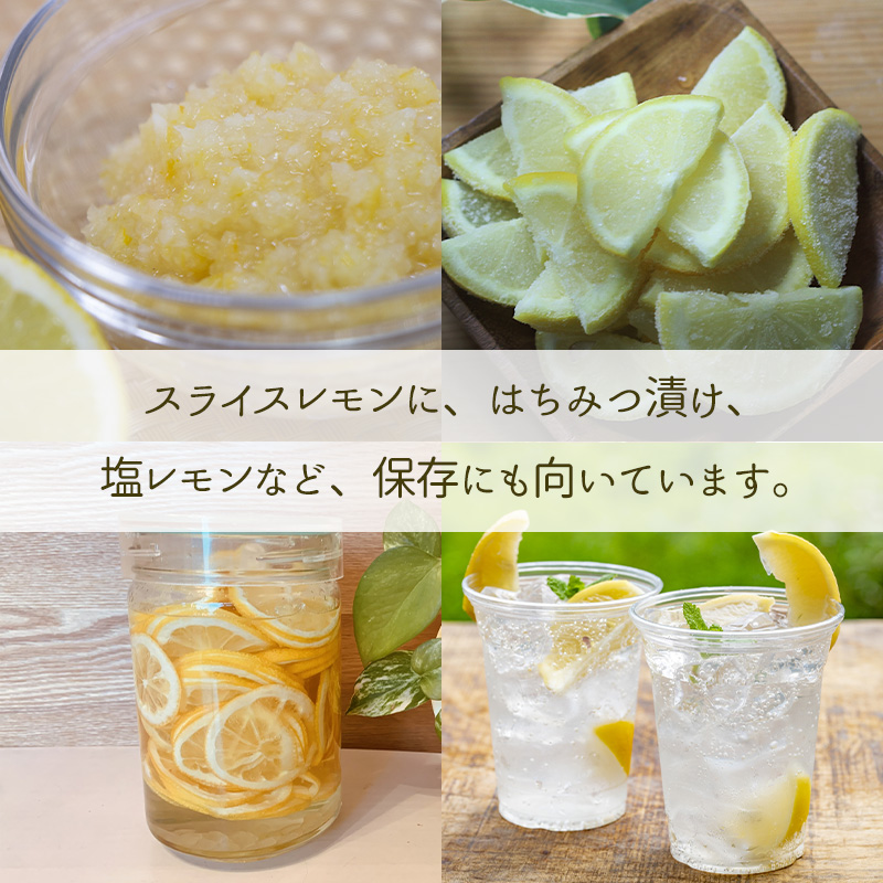 【先行予約】【グリーンレモン】 【 9月から発送】 家庭用 グリーンレモン 約5kg 防腐剤 ワックス 不使用｜ 訳あり レモン 檸檬 完熟 柑橘 酸味 国産 愛媛県産 訳あり 新鮮 愛媛 松山 グリーンレモン 5.0kg ?10,000