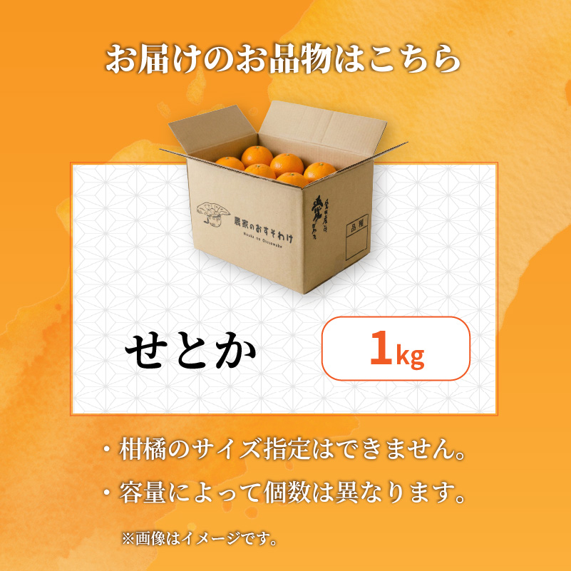 せとか 家庭用 1.0kg 【順次発送中】  | セトカ みかん 蜜柑 柑橘 甘い 高級 先行 予約 果物 フルーツ おすすめ 人気 愛媛三大柑橘（ 紅まどんな せとか 甘平 ） 愛媛 松山 お試し 1kg ¥5,000