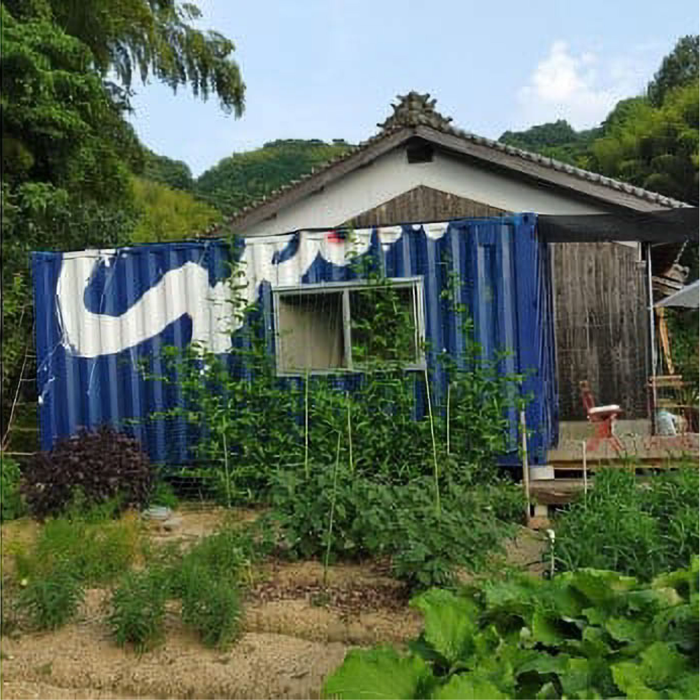 季節のジャムセット６種類