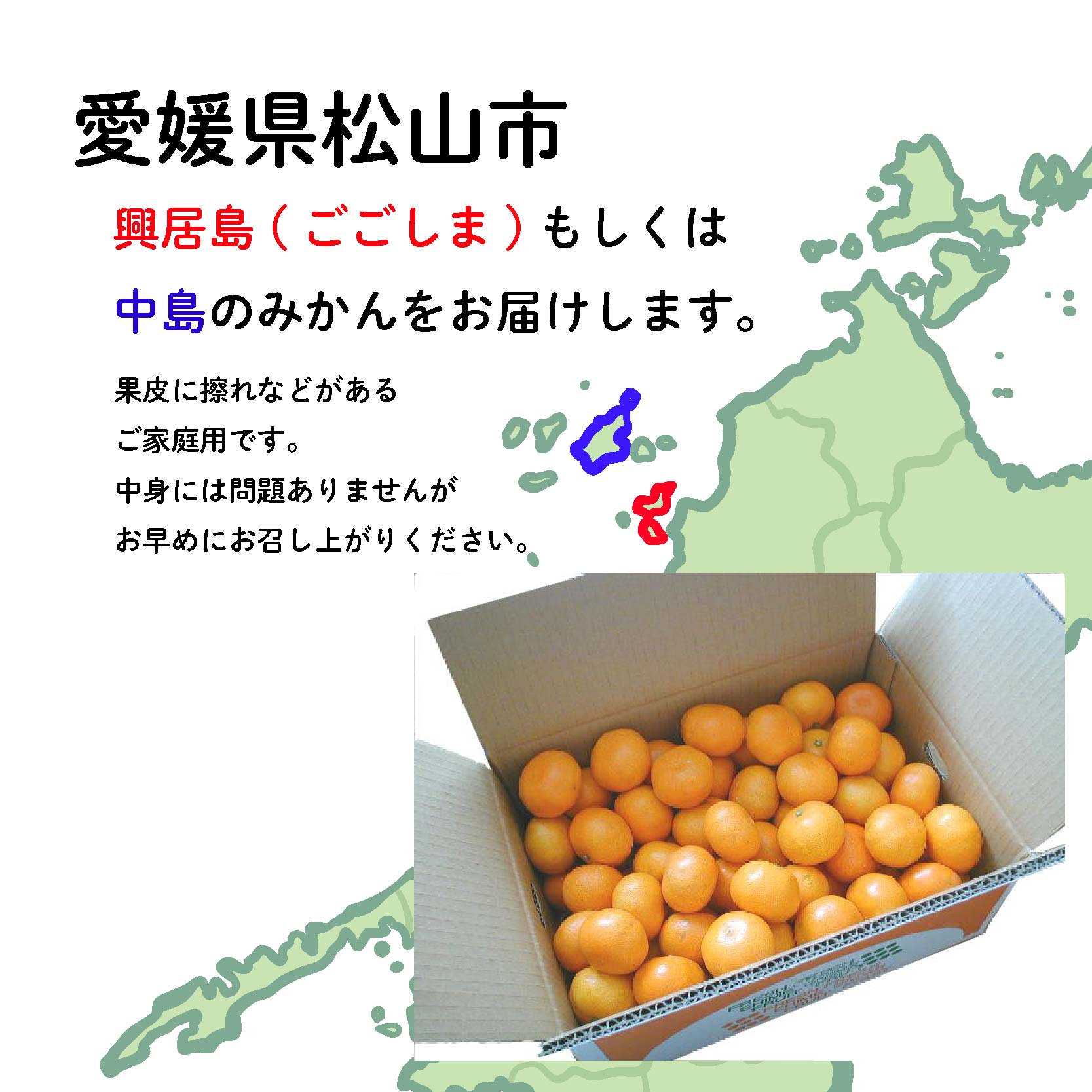 【11月中旬から順次発送】甘こく愛媛みかん 瀬戸内の太陽と潮風で育ったご家庭用 3kg | 蜜柑 みかん 愛媛 松山 フルーツ 果物 くだもの 数量限定 期間限定 送料無料 約3kg ¥10,000