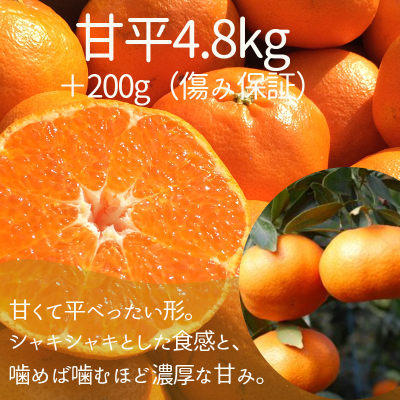 【2025年12月上旬から発送】【定期便 全3回】旬の愛媛三大高級柑橘 家庭用 愛果28号 せとか 甘平 | 柑橘 みかん 果物 くだもの フルーツ おすすめ 高級 人気 お取り寄せ グルメ ギフト 期間限定 数量限定 ご当地 愛媛県 松山市