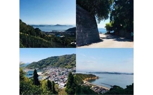 【2026年2月下旬より発送】 せとか 4kg 【B級品】| 柑橘 みかん せとか 果物 愛媛県 松山市 田村農園