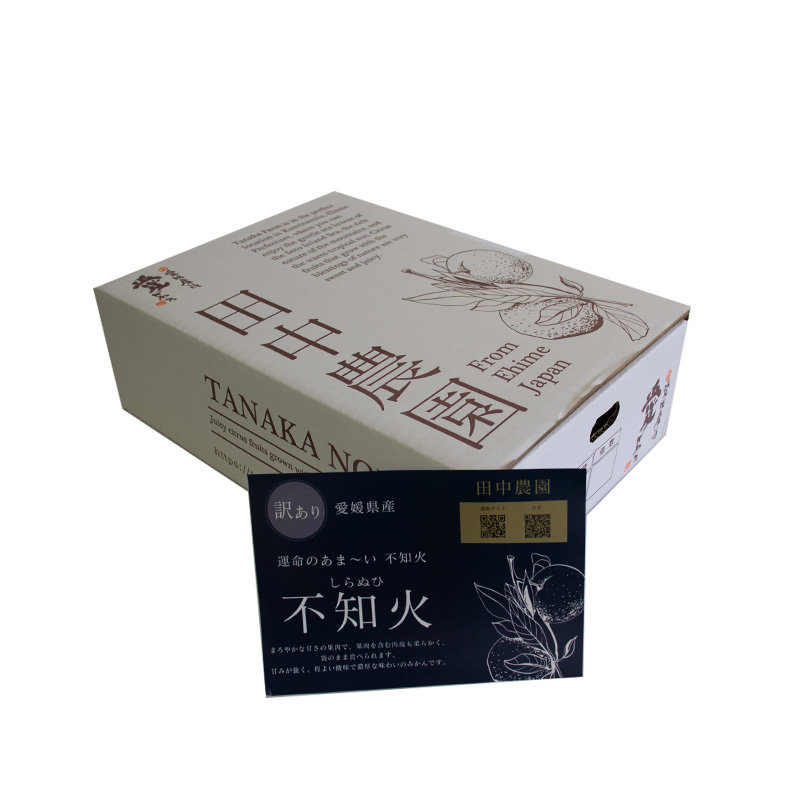 不知火 しらぬい 訳あり 約5kg 【2月下旬から順次発送】でこぽんと同品種