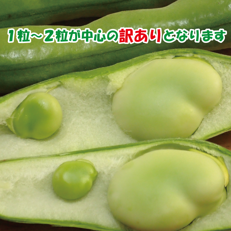 【期間限定】 訳あり そら豆 約4kg ( 訳あり 野菜 ソラマメ そらまめ 旬の野菜 松山 愛媛県 )