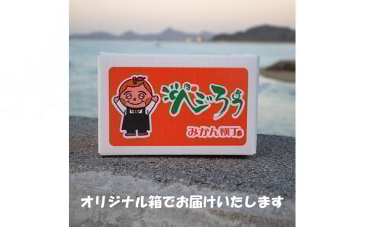 愛媛みかん 約2㎏ ( 訳あり みかん 訳ありみかん 訳あり商品 みかん 訳ありみかん 柑橘 松山 愛媛県 )