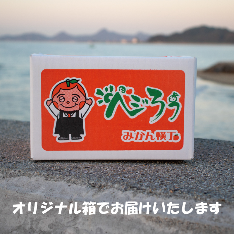 訳あり 愛果48号 2kg 柑橘 果物 くだもの フルーツ みかん ミカン mikan mican 不揃い 傷 ワケアリ 訳アリ 愛媛県 松山市