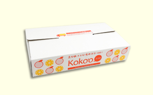 「いちずみ」食べ比べセット６個入り (ぶどう入り) (ココオ簡易BOX入り)