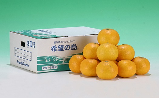 サマー清見 4kg 【2026年4月上旬から発送予定】  愛媛 中島産 愛媛県産 みかん 柑橘 希望の島