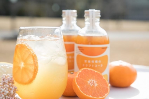 愛媛柑橘のクラフトコーラ 1本 250ml ｜コーラ クラフトコーラ こーら シロップ スパイス 炭酸 柑橘 レモン ライム 紅マドンナ 伊予柑 甘平 夏みかん 早生みかん みかん アレンジ 贈答 愛媛県 松山市