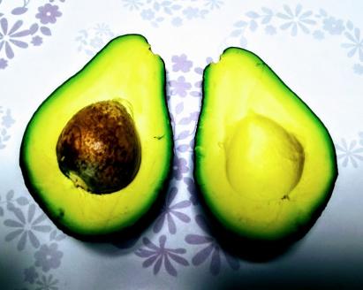 家庭用アボカド1.2Kg（松山市産/品種おまかせ）