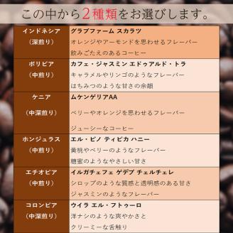 【スペシャルティコーヒー】マスターこだわりセレクトセット 160g×2種