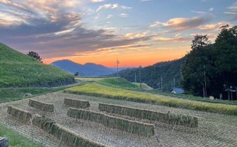 【2024年 9月中旬から発送】新米 精米 自然栽培米 "神米" イセヒカリ 2キロ 精米 白米