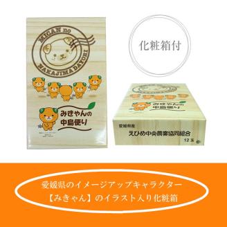 【先行予約】 カラマンダリン 愛媛県産 みきゃん箱 12玉 or 15玉 柑橘 みかん 贈答 可愛い 愛媛県 松山市