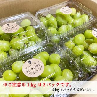 マスカット 2025収穫分先行予約 シャインマスカット 1kg バラ粒 500g 2パック 小分け 早朝 収穫 新鮮 松山