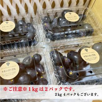 【2025収穫分先行予約】 ナガノパープル 1kg バラ粒 500g 2パック 小分け 早朝 収穫 新鮮 松山