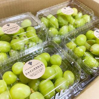 【2025収穫分先行予約】 シャインマスカット 2kg バラ粒 500g 4パック 小分け 早朝 収穫 新鮮 松山