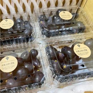 【2025収穫分先行予約】 ナガノパープル 2kg バラ粒 500g 4パック 小分け 早朝 収穫 新鮮 松山