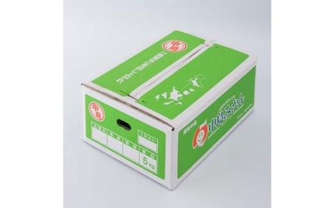 【発送は11月中旬から】 中島産 みかん S～L サイズ 5kg