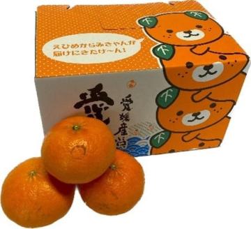 【2026年2月上旬頃より発送】 甘平 約 2.5kg 家庭用 | カンペイ 甘平 みかん 柑橘 果物 フルーツ 松山市 愛媛県 愛媛県産甘平 かんぺい みかん 幻の柑橘 人気の甘平 田村農園の甘平