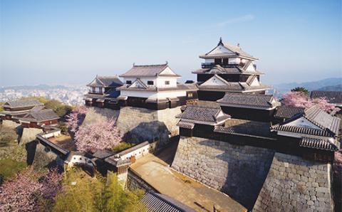 愛媛県松山市ANAトラベラーズダイナミックパッケージクーポン30,000点分