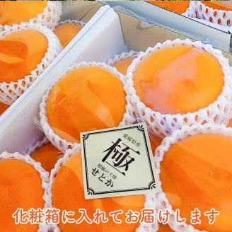 みかん 【愛媛県産】せとか 秀品 12個 約3Kg （TKG003）フルーツ 果物 みかん オレンジ 柑橘 愛媛県松山市 愛媛県 松山市 愛媛 松山 常温 常温便 常温配送 常温発送